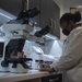 Ramstein Humanitarian Efforts: Medical prowess