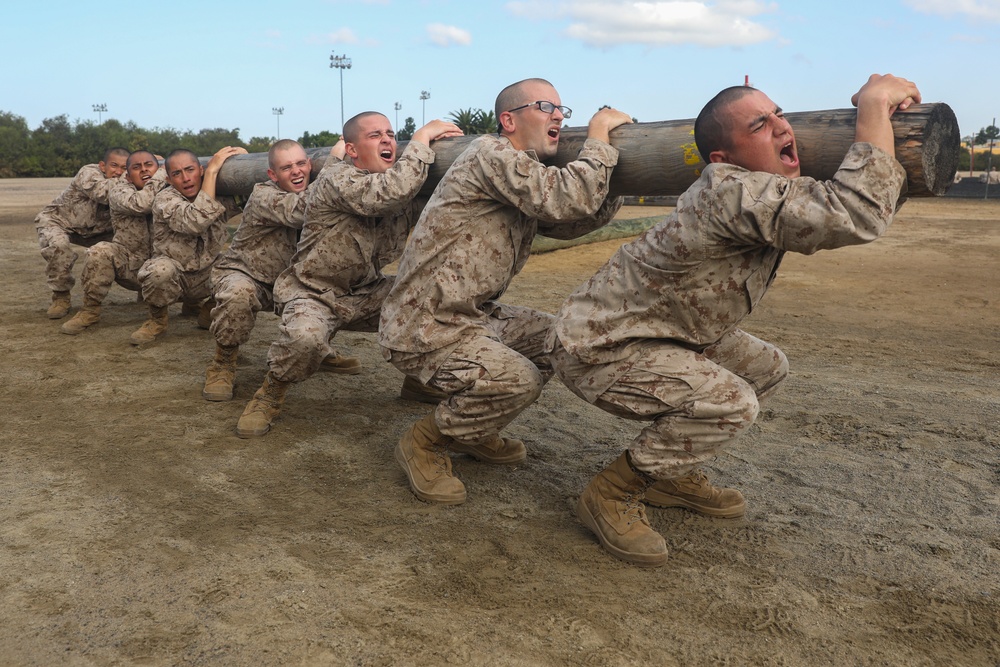 Golf Company Log Drills