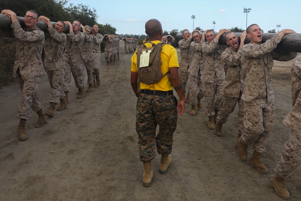 Golf Company Log Drills