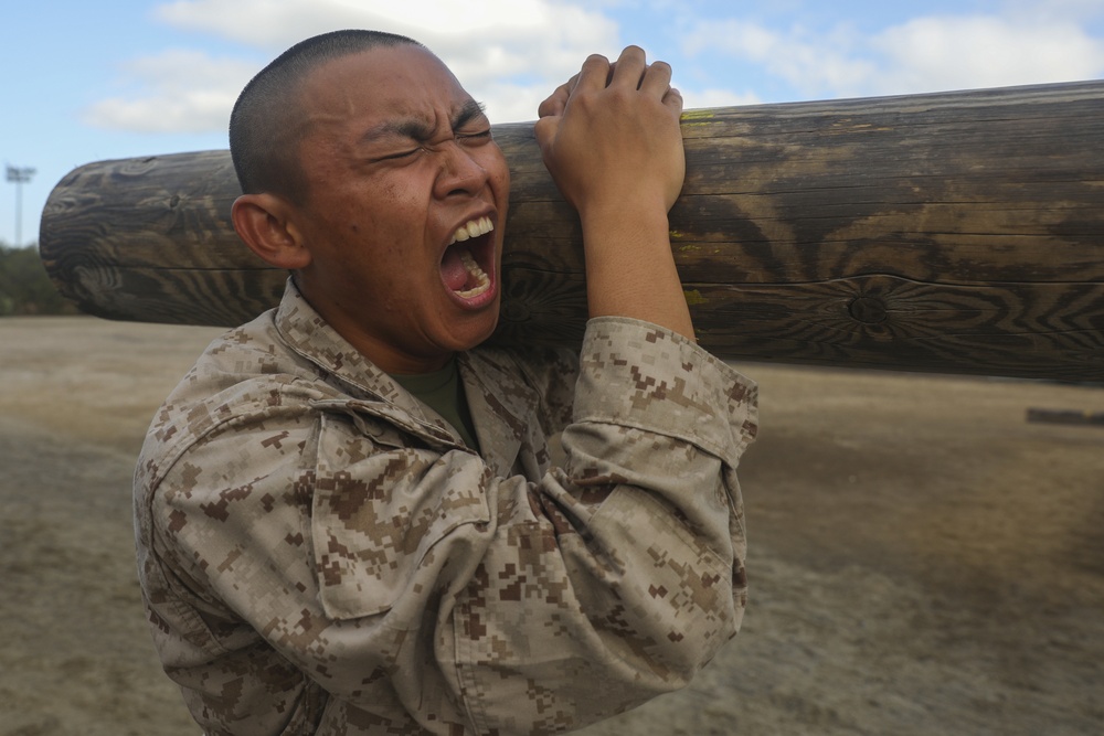 Golf Company Log Drills