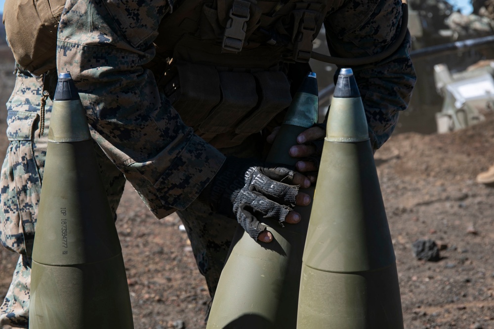 Alpha Battery, 1st Battalion, 12th Marines conducts direct fire training