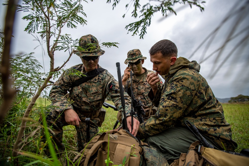 HMH-361 and 3rd LAAD Conduct GTR Training