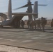 V21 Conducts the Regiment Assault Course