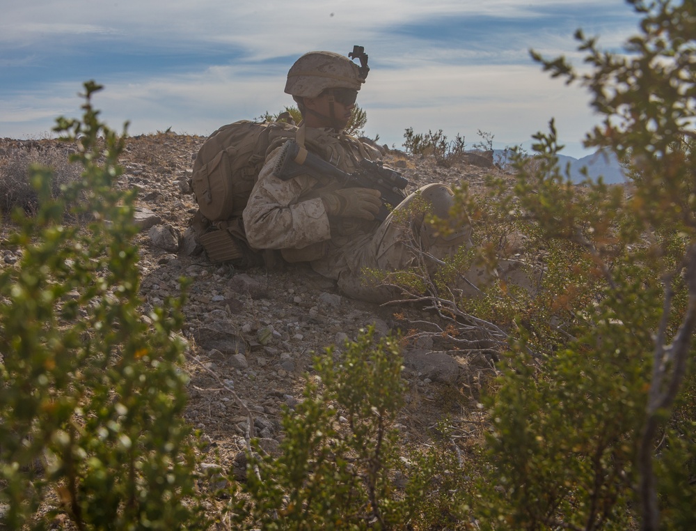 V21 Conducts the Regiment Assault Course