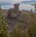 V21 Conducts the Regiment Assault Course