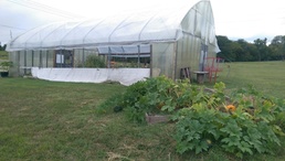 Garden yields hundreds of pounds of produce and unlimited opportunities for ARCP Soldiers