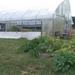 Garden yields hundreds of pounds of produce and unlimited opportunities for ARCP Soldiers