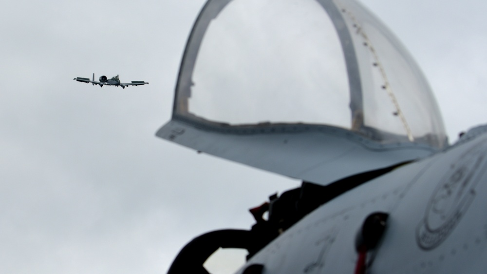 Wings Over North Georgia 2020