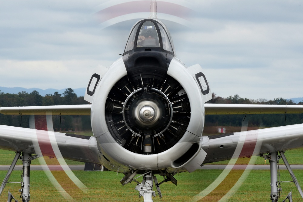 Wings Over North Georgia 2020