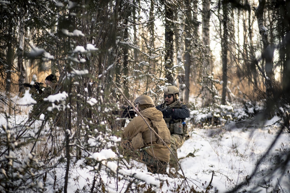 1st ANGLICO, 3rd Special Forces Group (Airborne) train to raid a simulated target