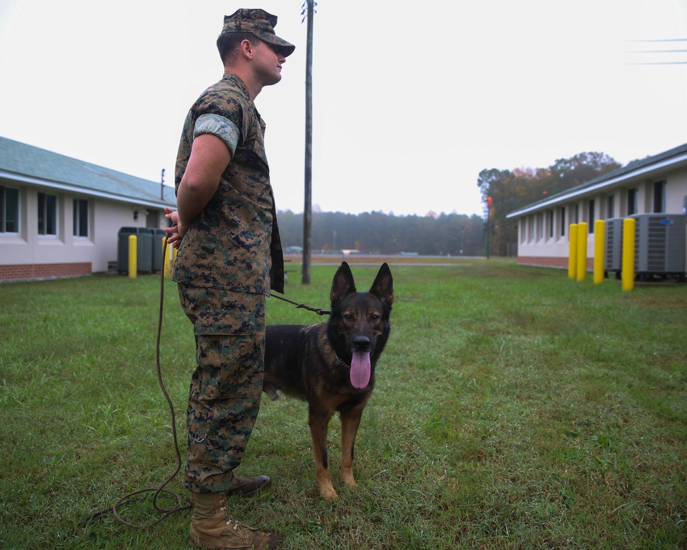 Security Bn Quantico Supports MEFEX 21.1 with Bomb Sniffing Dog