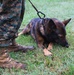 Security Bn Quantico Supports MEFEX 21.1 with Bomb Sniffing Dog