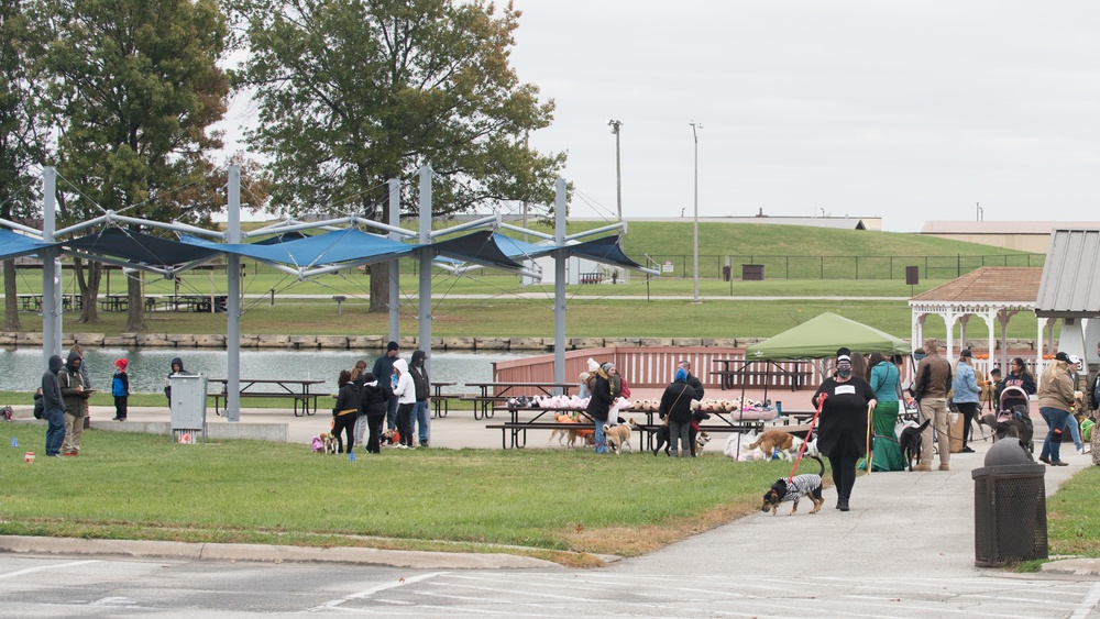 Team Whiteman comes together for Bark in the Park