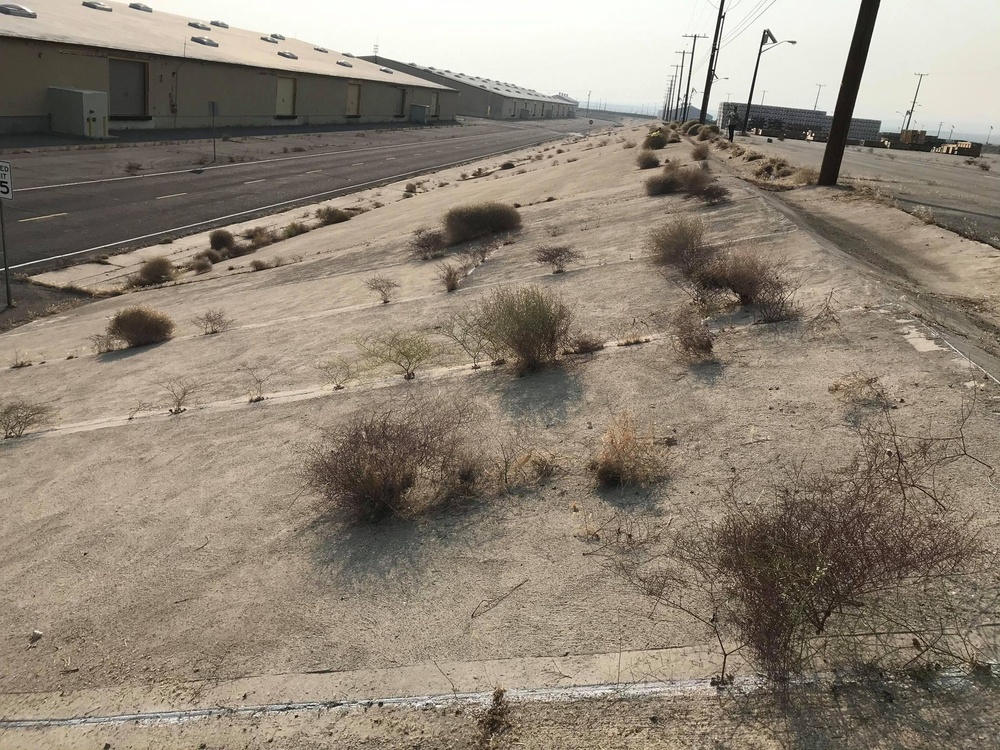 Marines and civilians volunteer to tackle base beautification goals