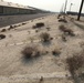 Marines and civilians volunteer to tackle base beautification goals