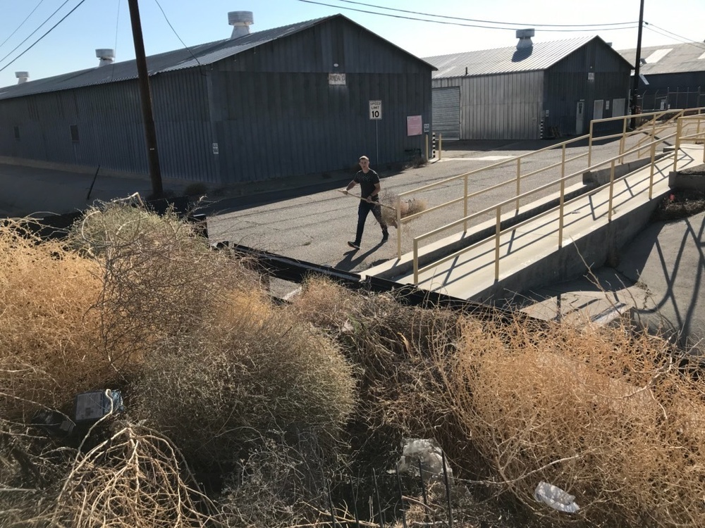 Marines and civilians volunteer to tackle base beautification goals