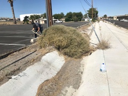Marines and civilians volunteer to tackle base beautification goals