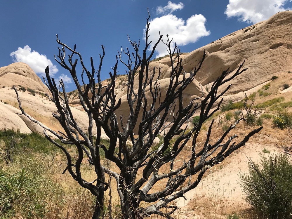 Hiking &amp; other outdoor adventures benefit mental and physical health
