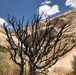 Hiking &amp; other outdoor adventures benefit mental and physical health