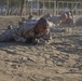 Kilo Company Combat Conditioning Course