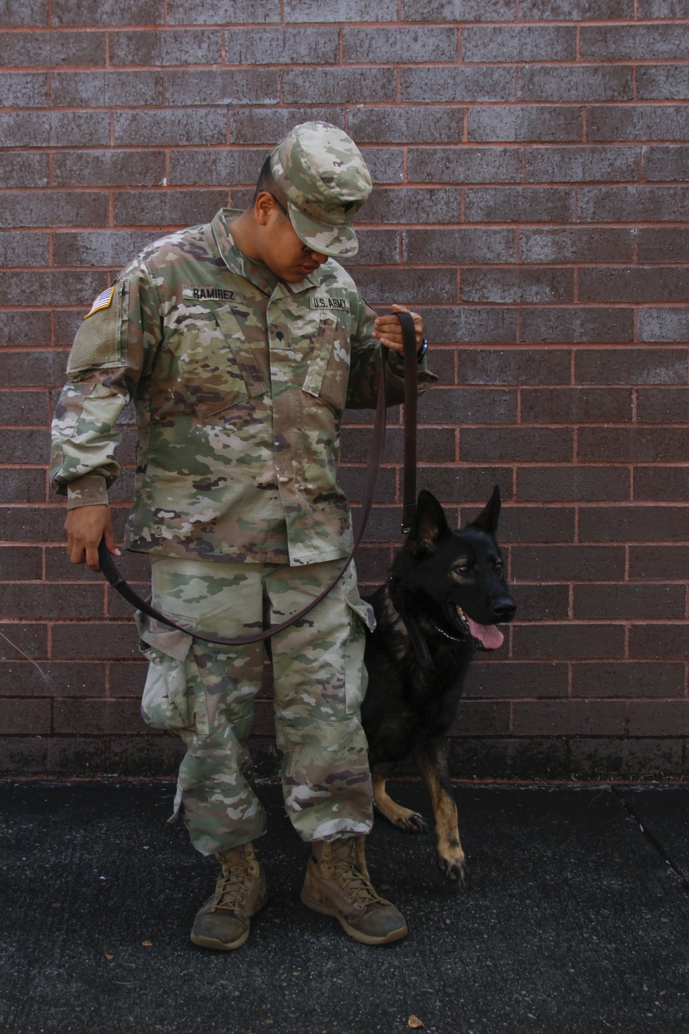 DVIDS - Images - 93rd Military Working Dog Detachment conduct annual ...