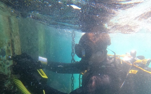 CDDC SCI INSPECTION 2020