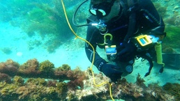 CDDC SCI INSPECTION 2020