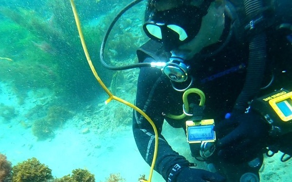 CDDC SCI INSPECTION 2020