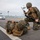 Exercise Active Shield 2020: Simulated Drive-By Shooting Exercise Active Shield 2020: Simulated Drive-By Shooting