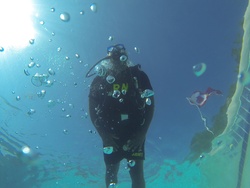 SRU Soldiers discover the benefits of scuba [Image 1 of 3]