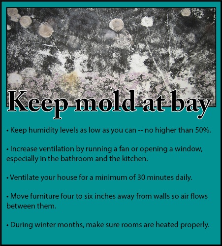 Keep mold at bay