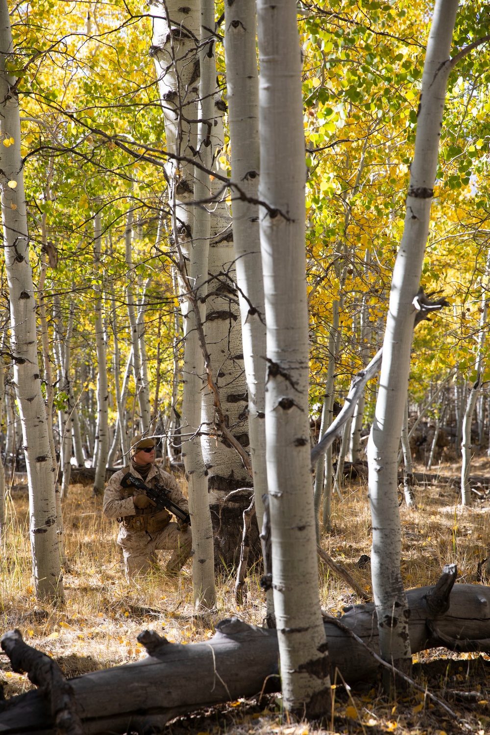 Marines in the Mountains