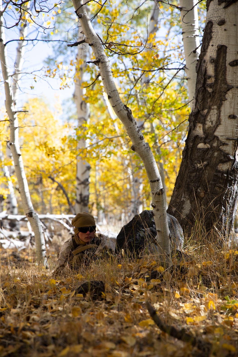 Marines in the Mountains