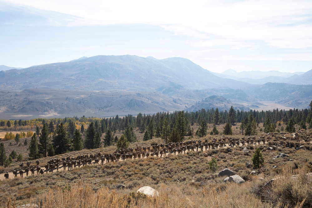 Marines in the Mountains