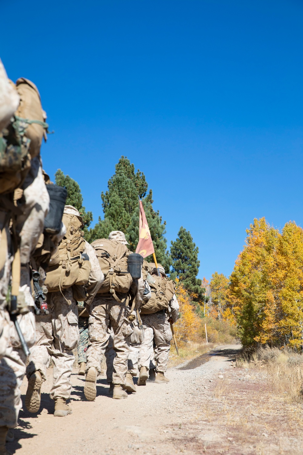 Marines in the Mountains