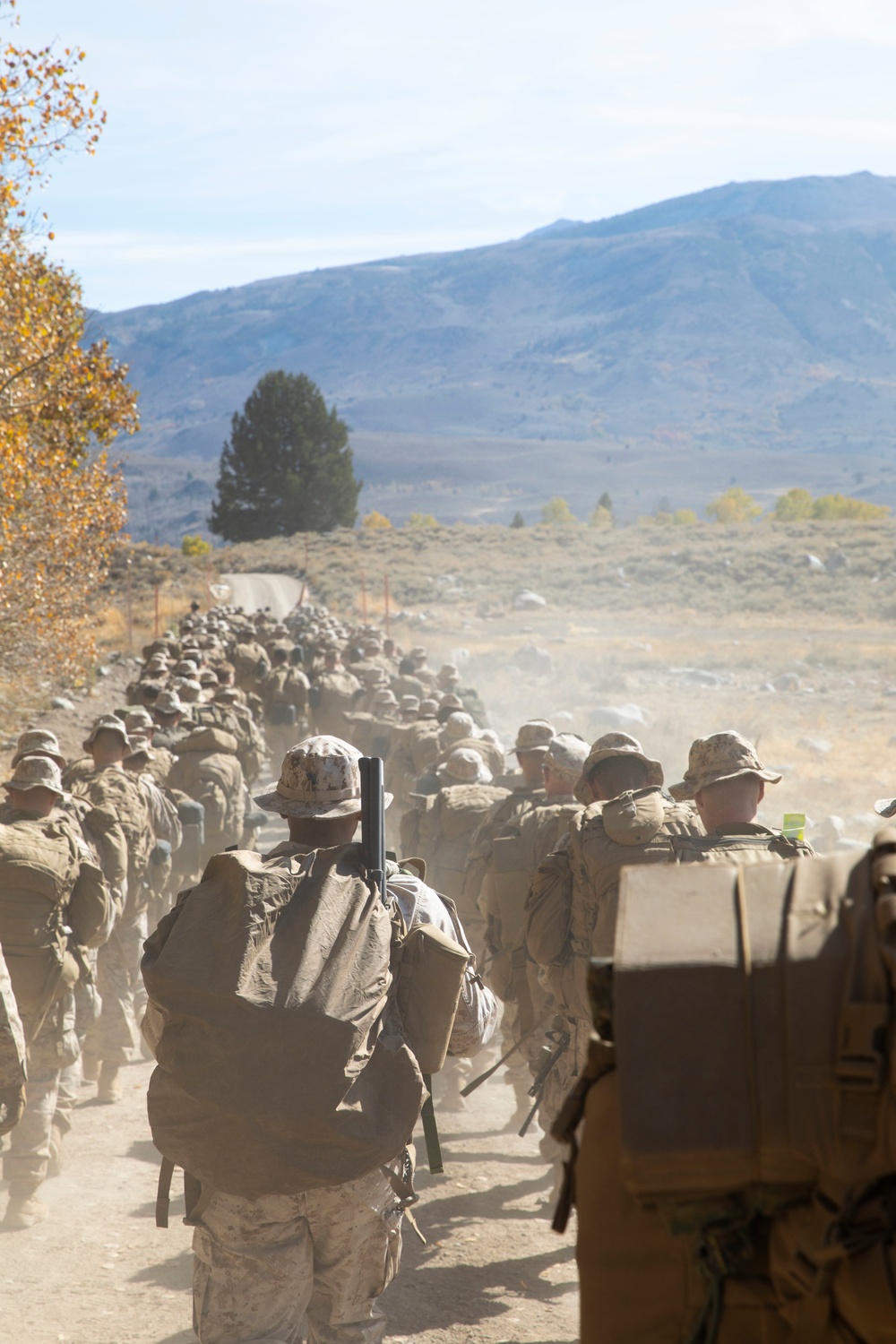 Marines in the Mountains