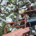 1st SOCES Air Commandos cut trees down after Hurricane Zeta