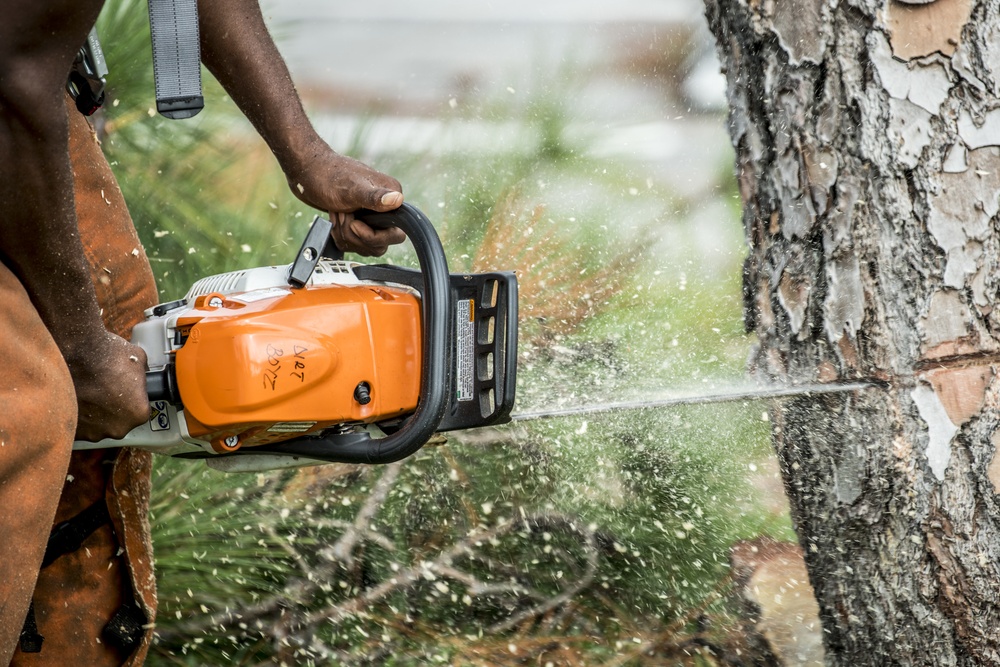 1st SOCES Air Commandos cut trees down after Hurricane Zeta