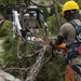 1st SOCES Air Commandos cut trees down after Hurricane Zeta