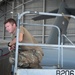 Total Force maintainers enable C-17 airlift at JBPH-H