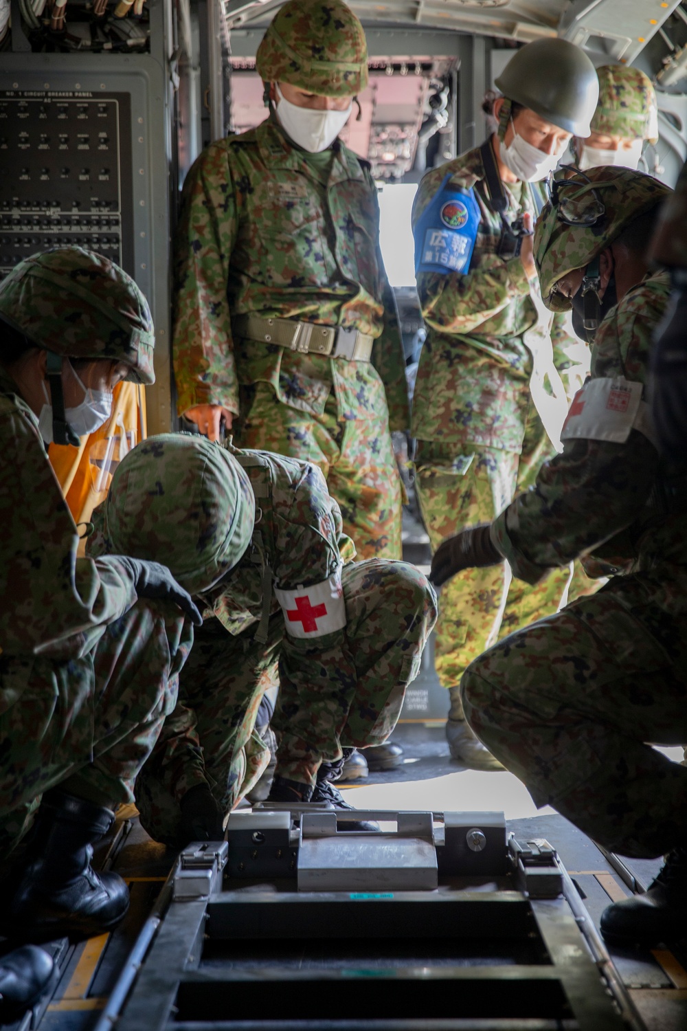 Japan Ground Self-Defense Force Medical Evacuation Training