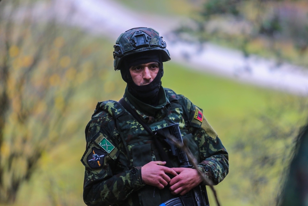 DVIDS - Images - Albanian soldiers training during KFOR28 [Image 2 of 10]