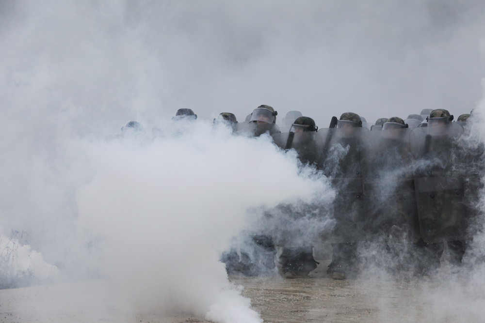 Moldovan soldiers conduct crowd riot control training