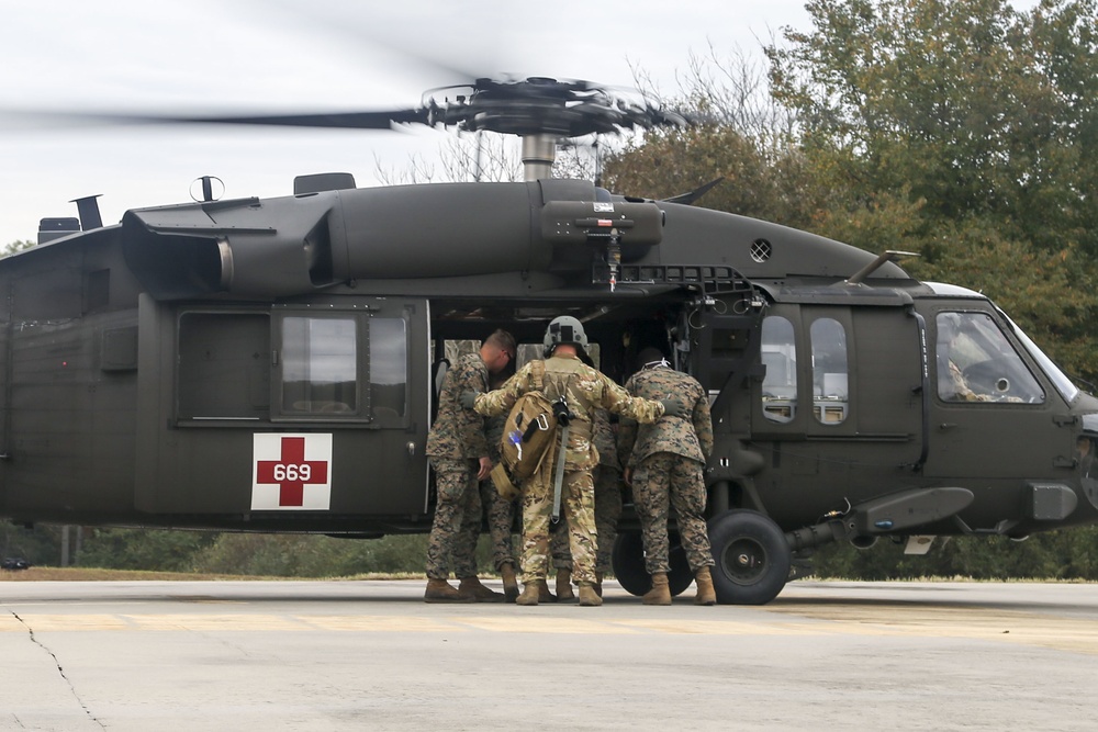 Marines, Soldiers enhance CASEVAC readiness during MEFEX 21.1