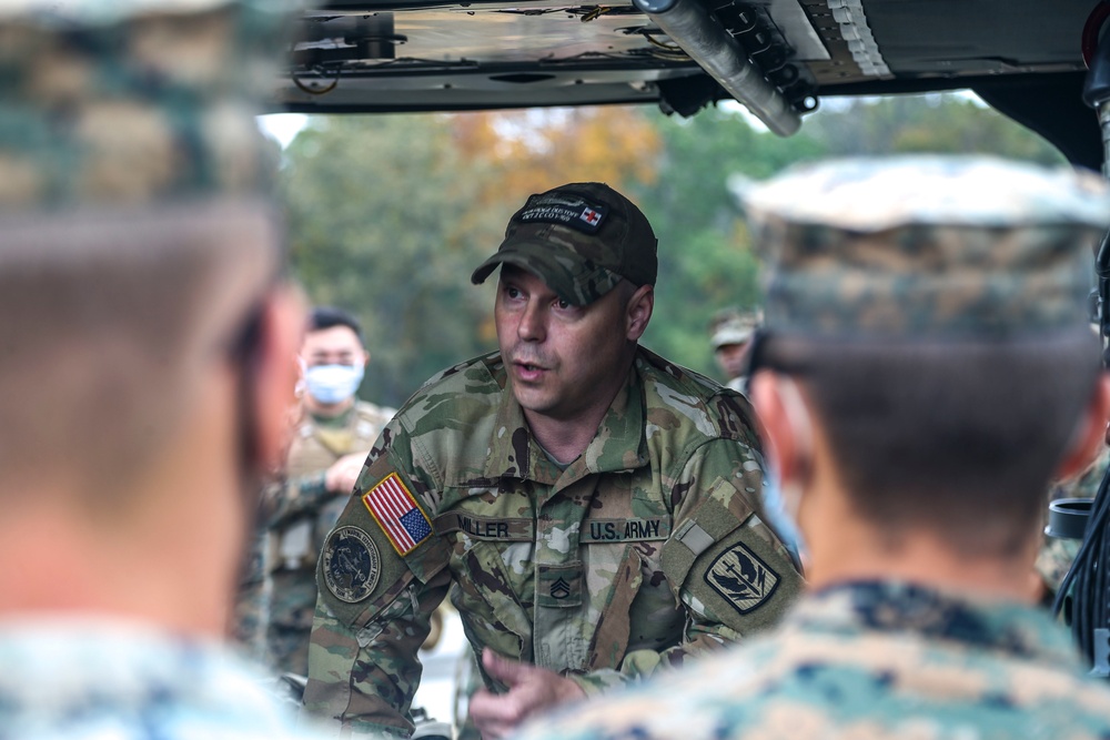 Marines, Soldiers enhace CASEVAC readiness during MEFEX 21.1