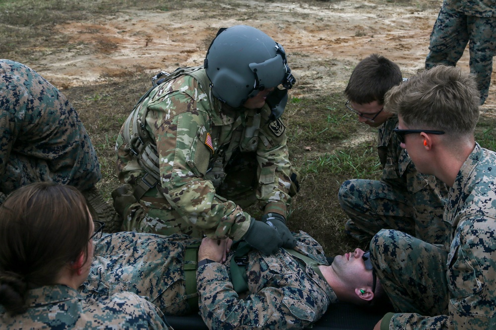 DVIDS - Images - Marines, Soldiers enhance CASEVAC readiness during ...