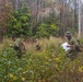 Marines participating in MEFEX 21.1 conduct Land Nav training