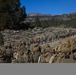 Marines in the Mountains