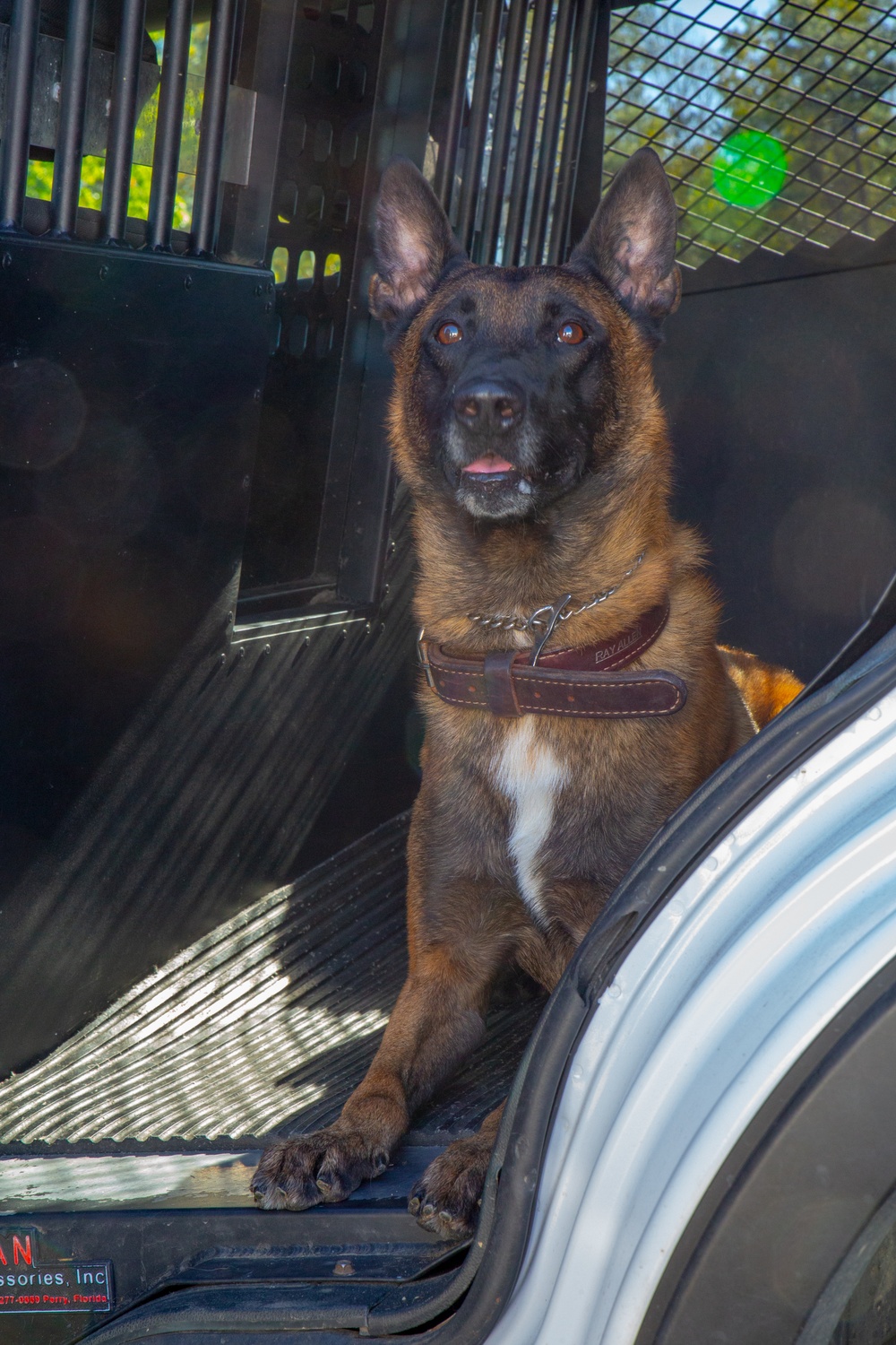 MWD Handlers conduct bomb detection sweeps at MEFEX 21.1