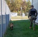 MWD Handlers conduct bomb detection sweeps at MEFEX 21.1